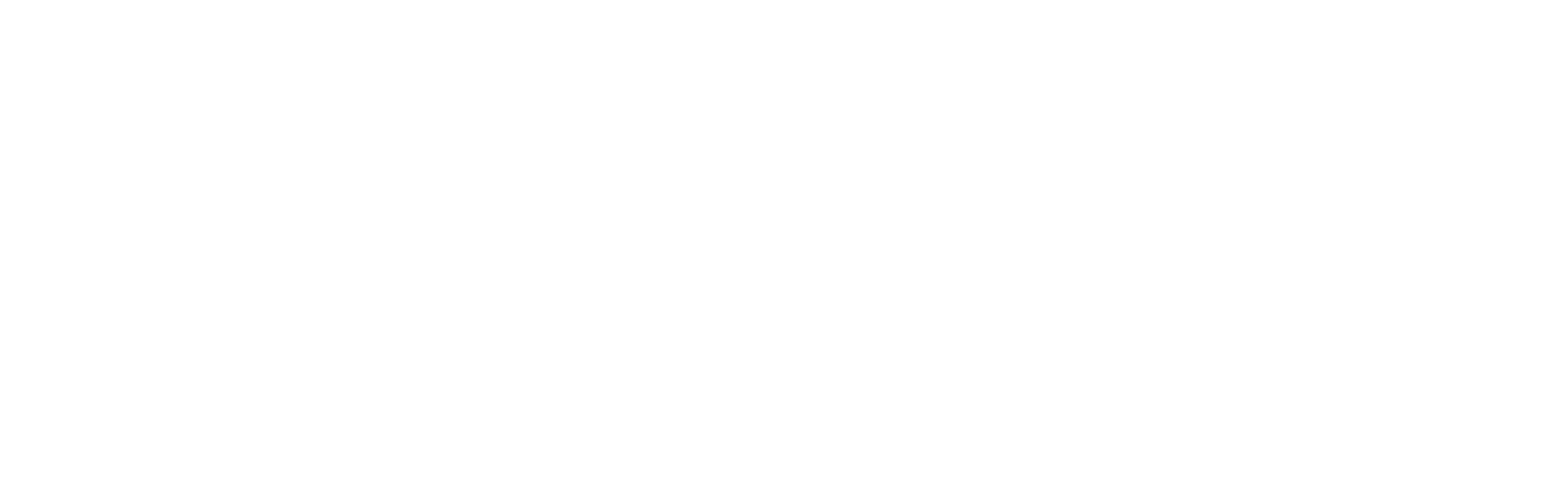 Biesse | General Contractor